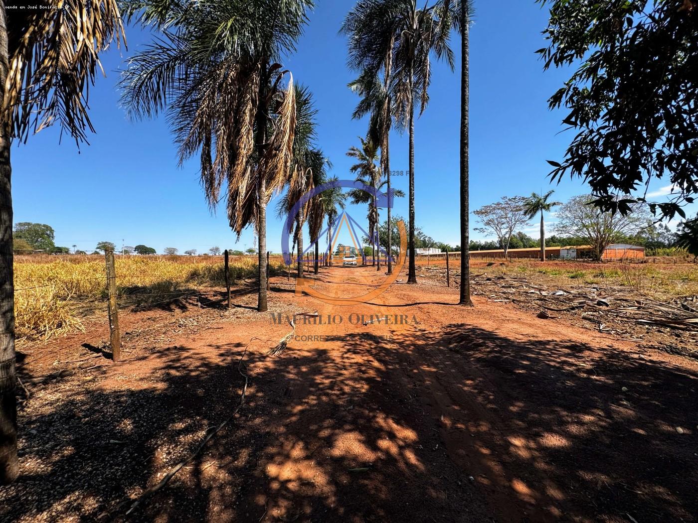 Chácara, 4 hectares - Foto 3