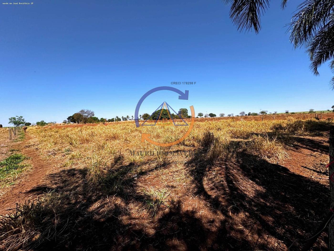 Chácara, 4 hectares - Foto 5