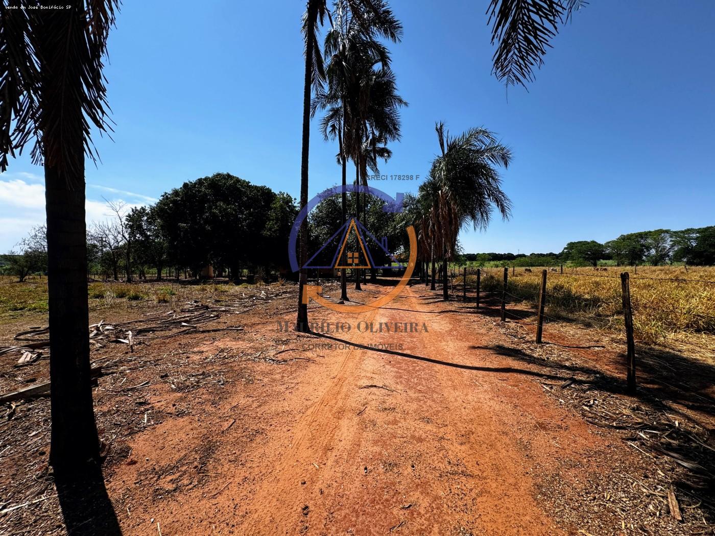 Chácara, 4 hectares - Foto 4