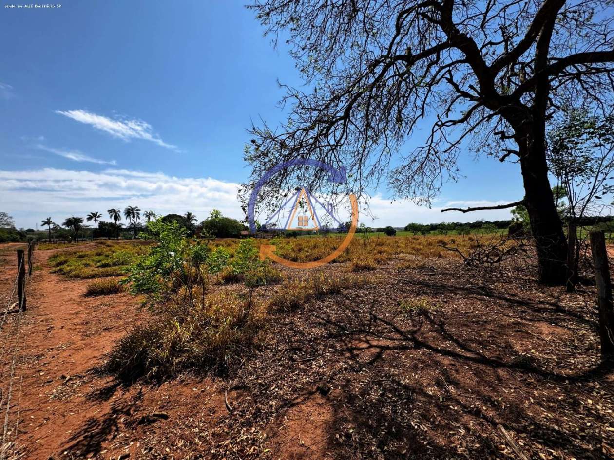 Chácara, 4 hectares - Foto 6