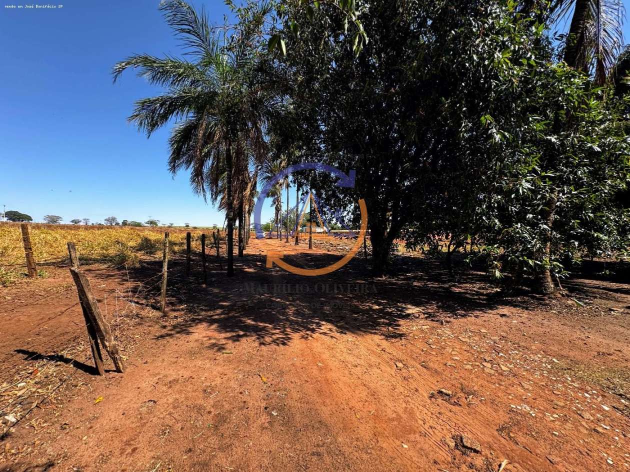 Chácara, 4 hectares - Foto 7