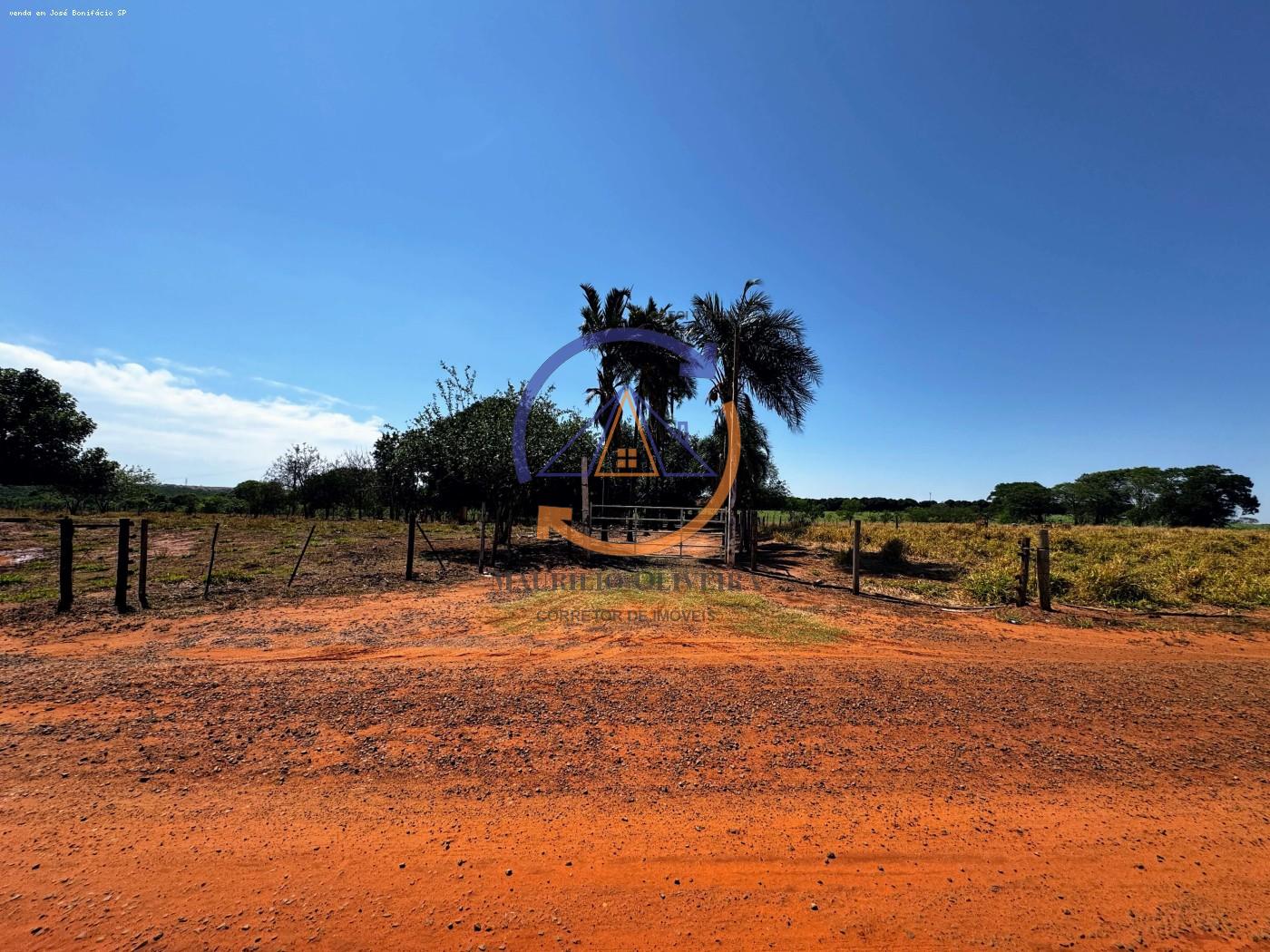 Chácara, 4 hectares - Foto 2