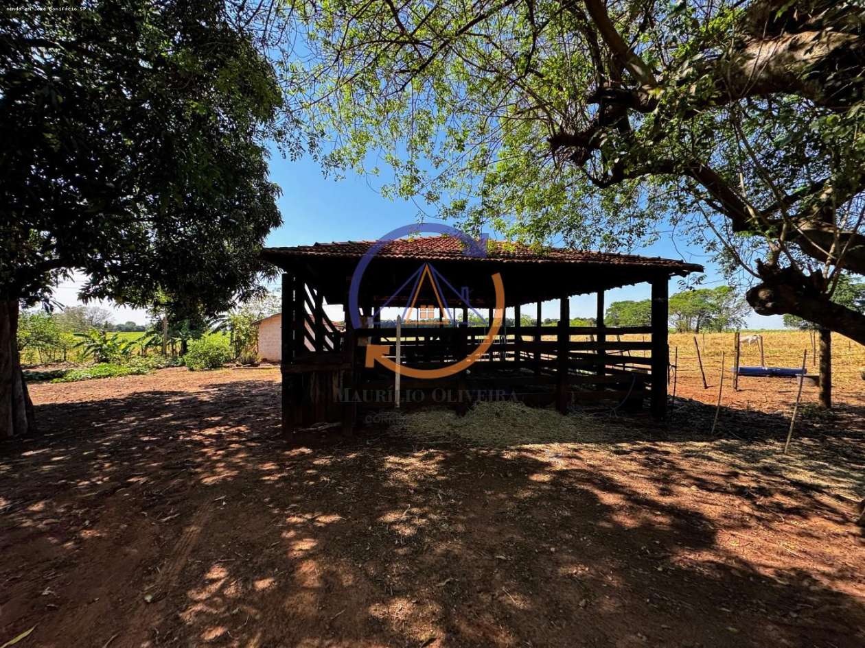 Chácara, 4 hectares - Foto 9