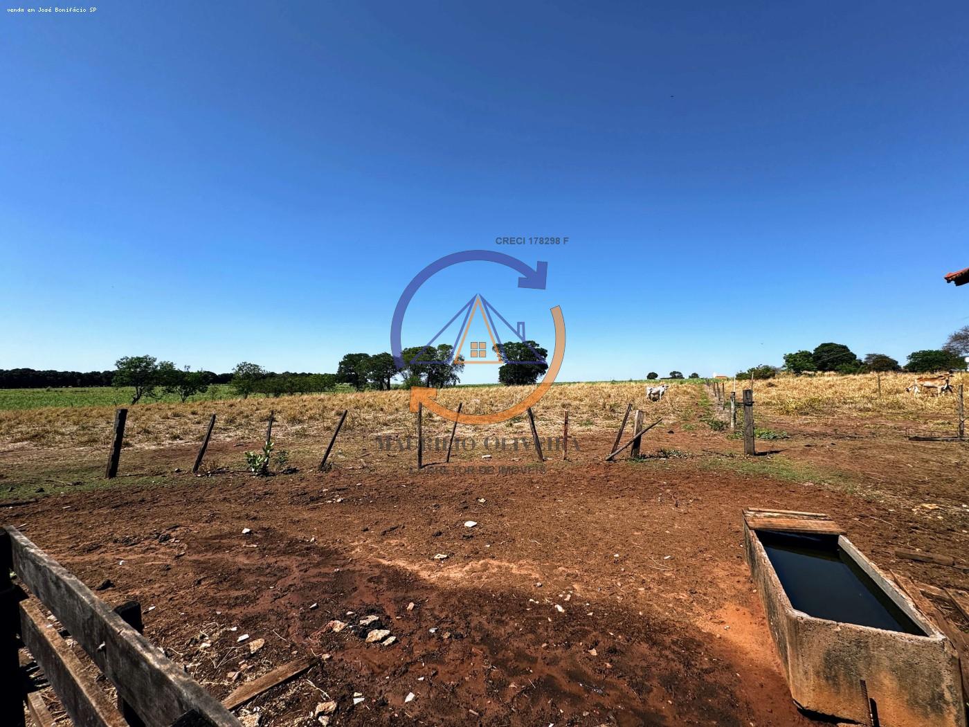 Chácara, 4 hectares - Foto 12