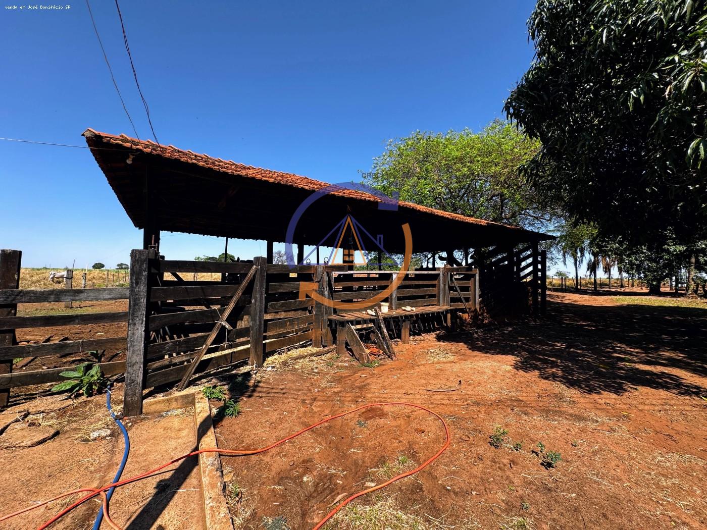 Chácara, 4 hectares - Foto 10