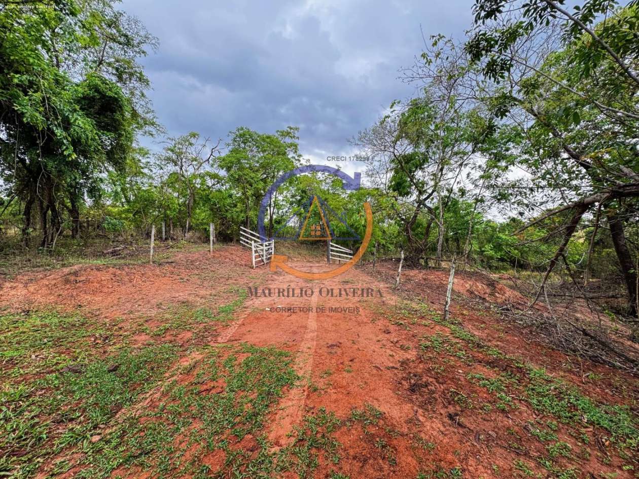 Chácara, 2 quartos, 4 hectares - Foto 5