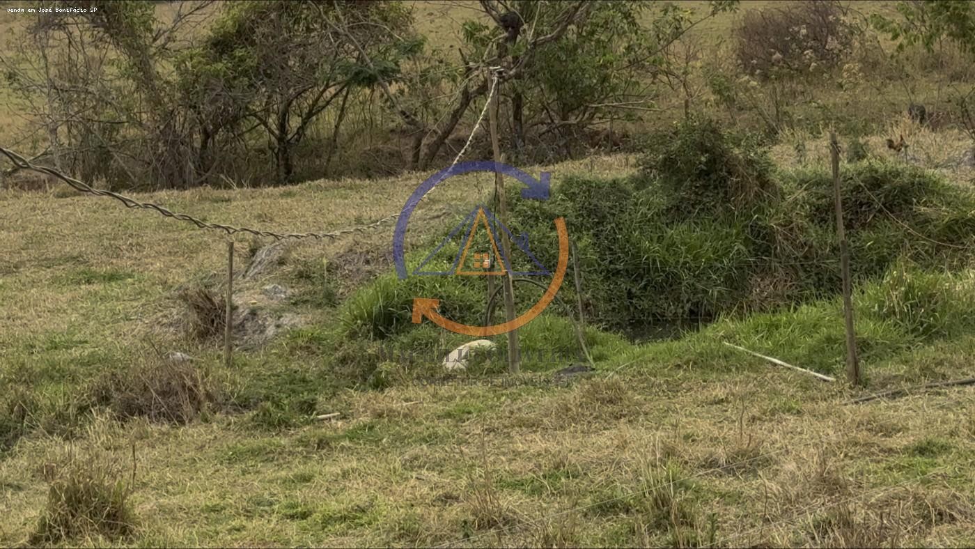 Chácara, 3 quartos, 4 hectares - Foto 7