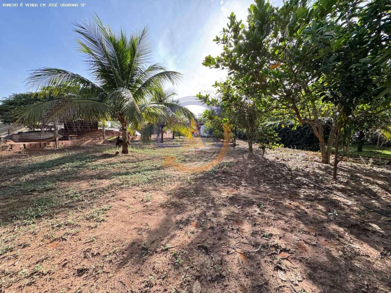 Sítio, 3 quartos, 1153 m² - Foto 40
